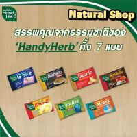 Handy Herb แฮนดี้เฮิร์บ ( 1 ซอง 2 เม็ด ) สมุนไพร เพื่อสุขภาพที่ดี และร่างกายแข็งแรง