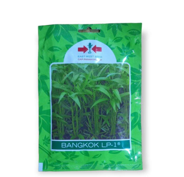 Kangkung Bangkok 1500 Benih Original Lazada Indonesia