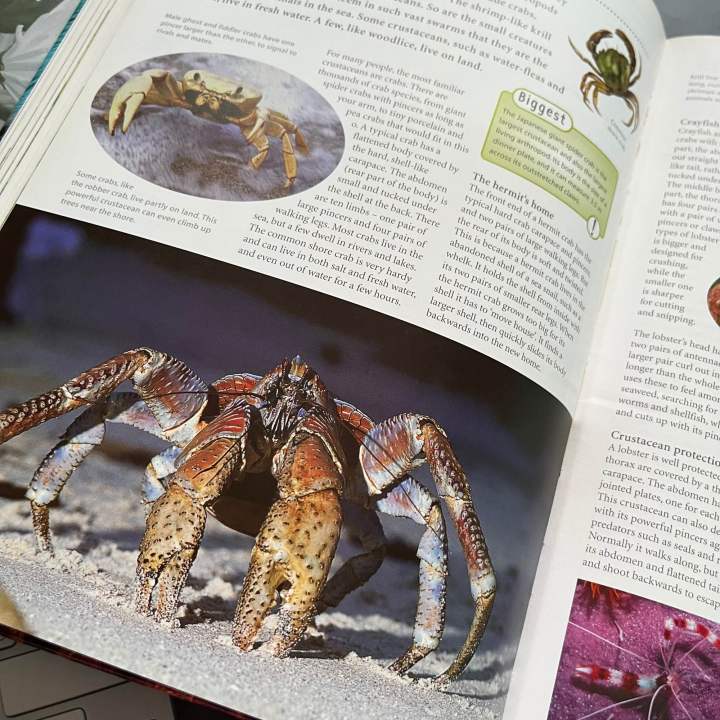 หนังสือสารานุกรม-รวมความรู้เกี่ยวกับสัตว์อันหลากหลาย-เนื้อหาอ่านง่าย-ภาพสวย-คมชัด-animals-of-the-world