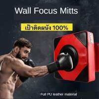 เป้าล่อชกมวยติดผนัง – Wall Punching Mitts