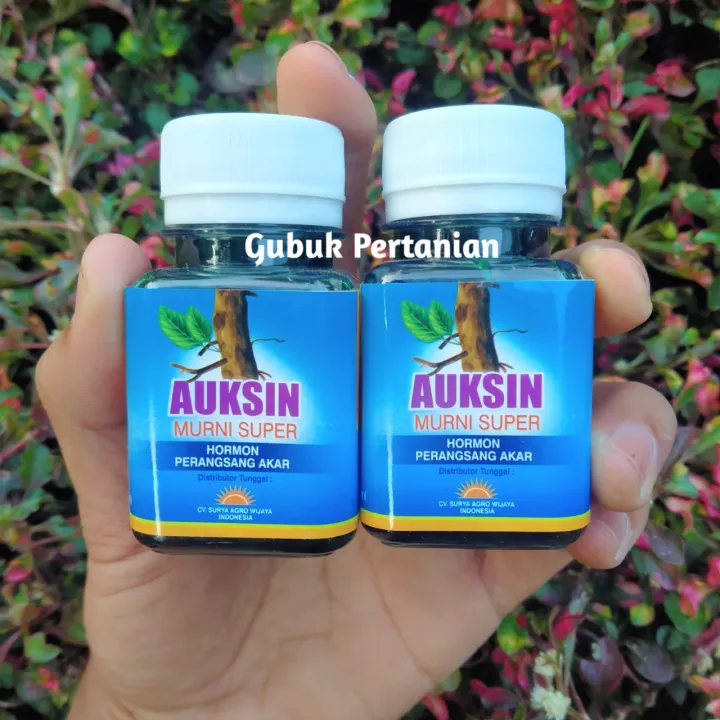 Auksin Obat Hormon Perangsang Akar Pada Tanaman Isi 60ml | Lazada Indonesia