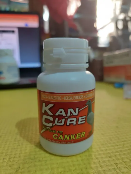 KAN CURE 100 CAPSULES Lazada PH