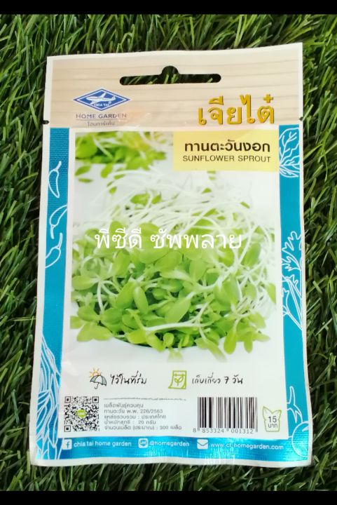 เจียไต๋-ทานตะวันงอก-sunflower-sprout-เมล็ดพันธุ์