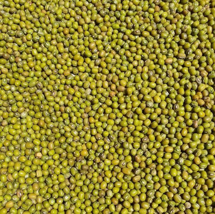 green beans monggo one kilo | Lazada PH