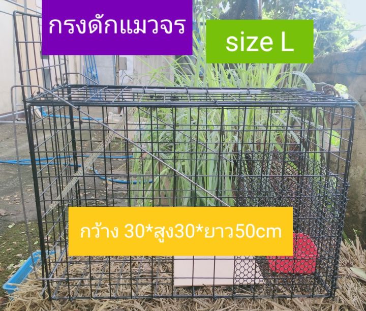 กรงดักแมวจร-สปริงคู่-size-l-30-30-50cm