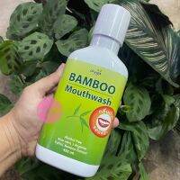 ร้านไทย ส่งฟรี น้ำยาบ้วนปาก Bamboo ขวดเขียว ขนาด 400 ml เก็บเงินปลายทาง