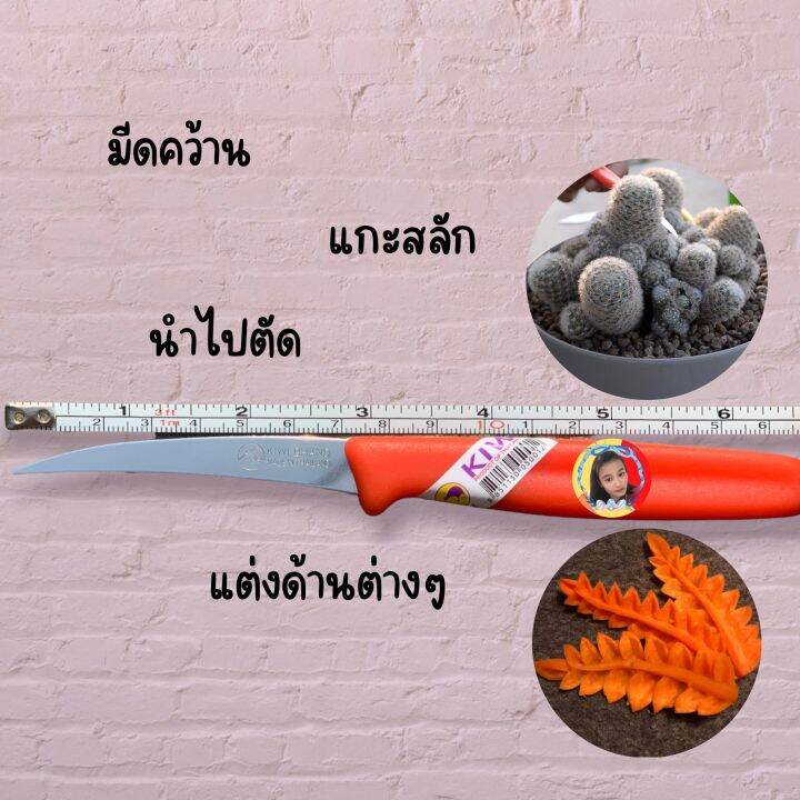 มีดคว้าน-kiwi-engraving-knife-001-มีดแกะสลักทอมโบ-แกะผลไม้-ชุดมีดคว้านแกะสลัก-ด้ามพลาสติก-จำนวน-1-ชิ้น-001-อรแบล็คช็อป