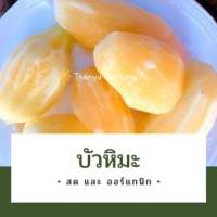 บัวหิมะสด (คละไซส์1กิโล) บัวหิมะดอยอ่างขาง ขุดสดพร้อมส่ง