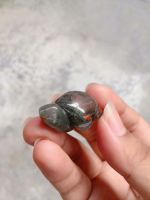 Blood stone | บลัดสโตน #CS6 
หินเลือด แกะสลักเต่า สูง 1.6 cm
หินธรรมชาติ หินสะสม