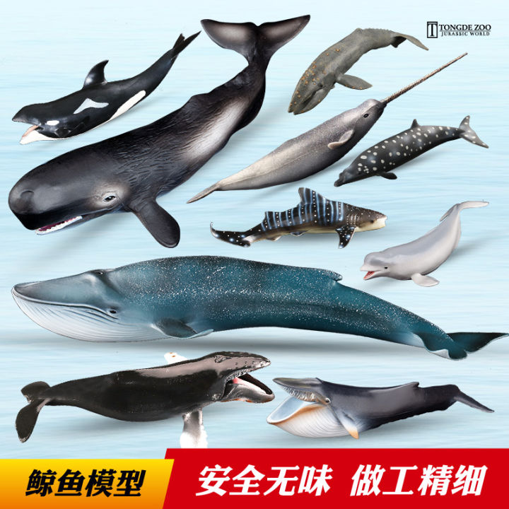 โมเดลปลาวาฬเด็กของเล่นสัตว์ทะเลปลาวาฬสีขาวปลาวาฬสีฟ้าวาฬเพชฌฆาตวาฬเพชฌฆาตปลาวาฬสีเทา