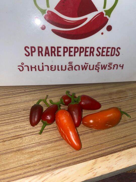 พริกเม็กซิกัน-jalapeno-แท้