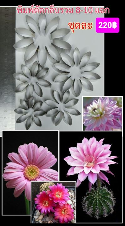 พิมพ์ตัดอลูมีเนียมรูปกลีบดอกไม้รวม 8-10 แฉก