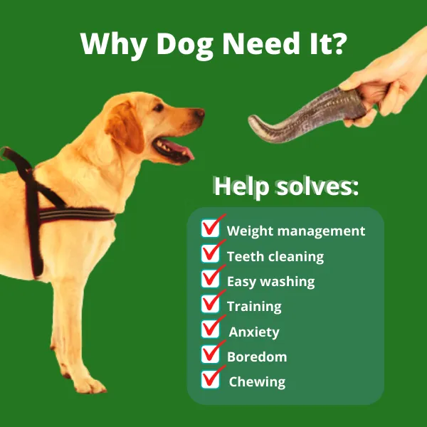 Pure Carabao Horn Buffalo Horn sungay ng kalabaw whole antler for Dog