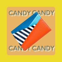 Prin Cardholder - Candy fruit orange กระเป๋าใส่บัตร