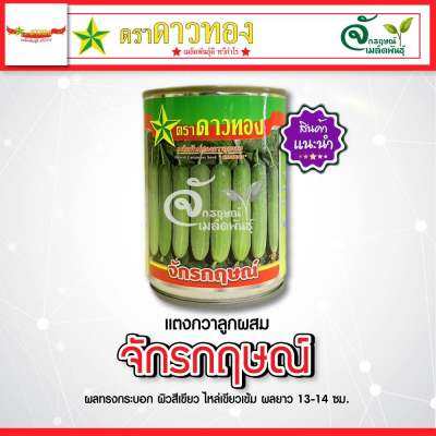 แตงกวาลูกผสม ” จักรกฤษณ์ “ 🥒 ตราดาวทอง🌟  ขนาด100กรัม