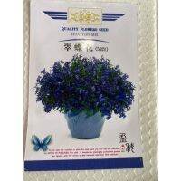 เมล็ดพันธุ์ โลบิเลีย บลู แชฟไฟร์ ( Lobelia - Blue Sapphire Seed ) บรรจุ 3000 เมล็ด