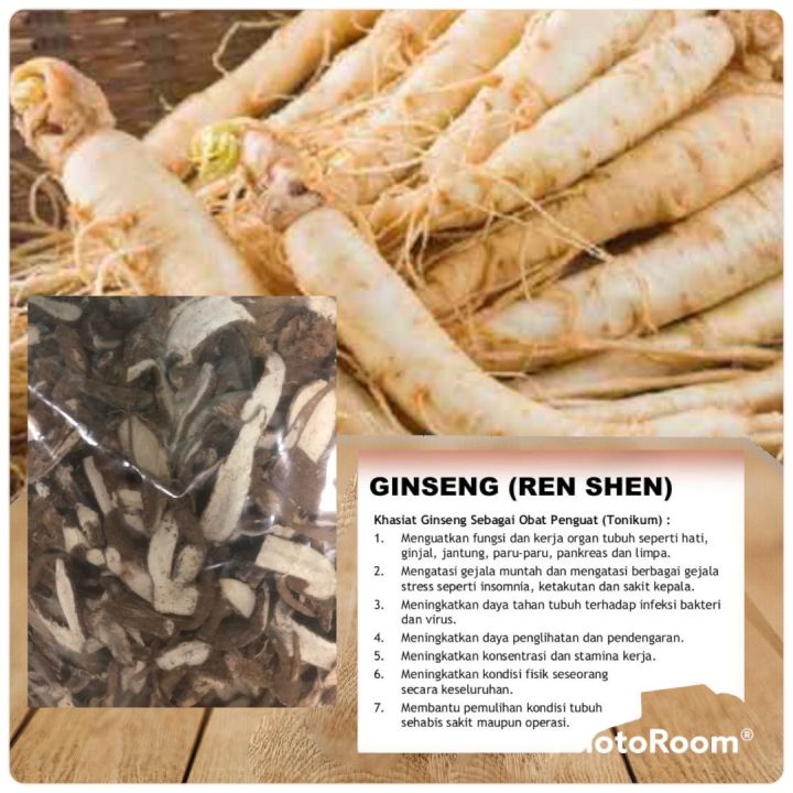 SERBUK AKAR GINSENG KERING (100g) | Lazada