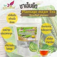 ชาเอ็นยืด (ผักกาดน้ำ) Plantago Major Tea ช่วยแก้อาการกล้ามเนื้อและเอ็นเคร่งตึง