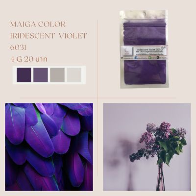 สีไมก้า 6031 (lridescent Violet) บรรจุ 4 กรัม