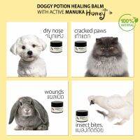 บาล์มทาผิวสุนัขdoggypotion