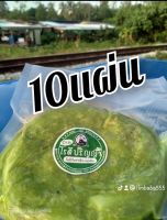 โรตีกินสำเร็จรูปรสใบเตย 10 แผ่น