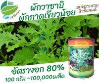 เมล็ด ผักกาดเขียวน้อย ผักวาซาบิ 10 กรัม (10,000 เมล็ด), 100 กรัม (100,000 เมล็ด) นำเข้าจากประเทศนิวซีแลนด์ เขียวน้อย