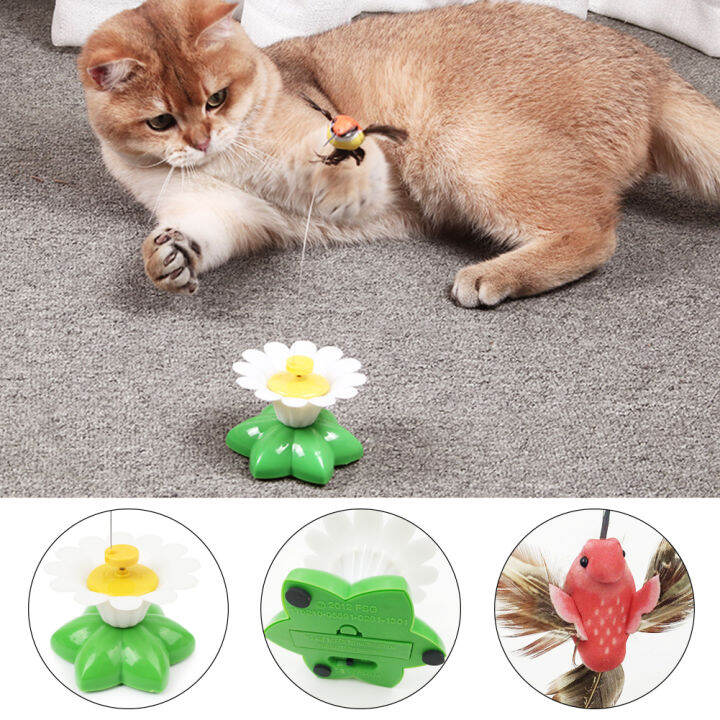 Electronic butterfly 2025 cat toy