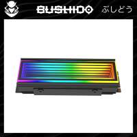 M.2 Heatsink RGB ฮีทซิงค์ระบายความร้อน สำหรับ M.2 Nvme