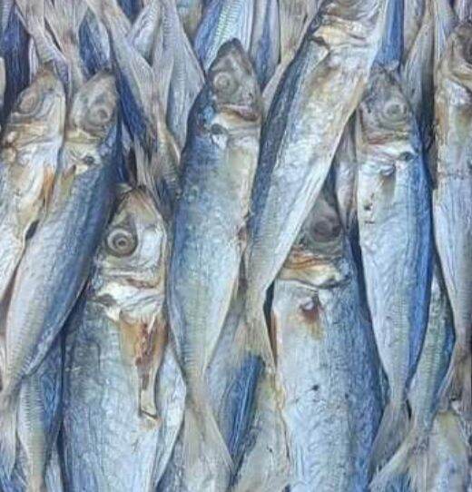 galunggong na tuyo" driedfish masarap tama lang ang alat 250g-1kg