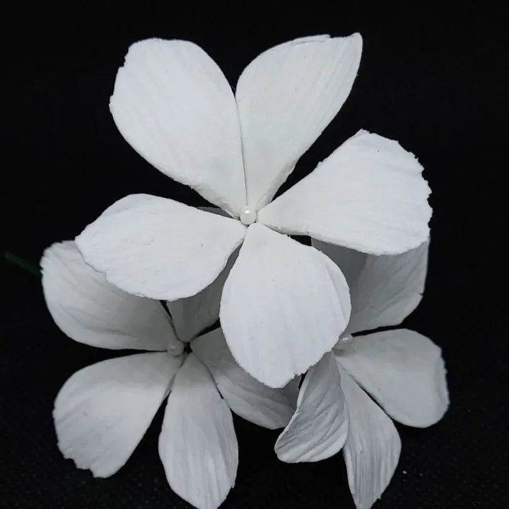 Edible Jasmine Flower for Cake Decoration 2" 5pcs Lazada PH