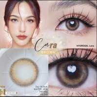 เลนส์ฝาทอง Cara สีเทาและสีน้ำตาล ขนาดกลาง 14.5