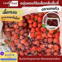 องุ่นแดงไร้เมล็ดกลิ่นลิ้นจี่พรีเมี่ยม  ตรานกแก้ว  4 kg. ( เนื้อ) เนื้อแน่น กรอบ  หวาน หอมกลิ่นลิ้นจี่  รสชาติหวานกว่าแบรนด์อื่นๆ