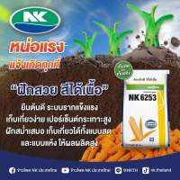 เมล็ดพันธุ์ข้าวโพด เอ็นเค 6253 3.5 หุน 10 กก. ต้นแข็งดี สีได้เนื้อ