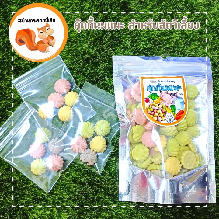 ขนมคุ๊กกี้นมแพะ-สำหรับสัตว์เลี้ยง-สัตว์ฟันแทะ-กระรอก-ชูก้า