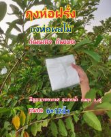 ถุงห่อฝรั่ง ถุงห่อผลไม้ 6×12 นิ้ว(1 แพ็ค  ขนาด 500 กรัม)กันแมลง กันแดด กันฝุ่นละอองได้ดี  กรองแสงแดด  ไม่ต้องห่อกระดาษ เจาะรูระบายน้ำ/อากาศ ก้นถุง 3 รู