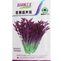 เมล็ด ผัก มิซูน่าม่วง F1  (Murasaki mizuna)  หรือ ผักน้ำญี่ปุ่นม่วง (Red  Japanese water vegetable) บรรจุ 200 เมล็ด