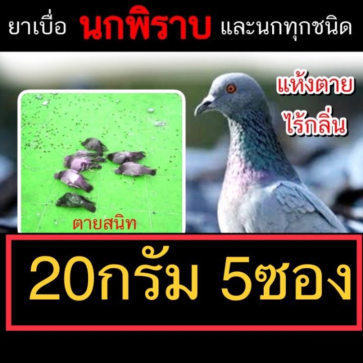กำจัดนก-20-กรัม-จำนวน5ซอง-กำจัดนก-ไล่นก-เหยื่อกำจัดนกพิราบ-ยากำจัดนก-ออกฤทธิ์ช้า-ทำลายอวัยวะภายในตายใน3-4วัน