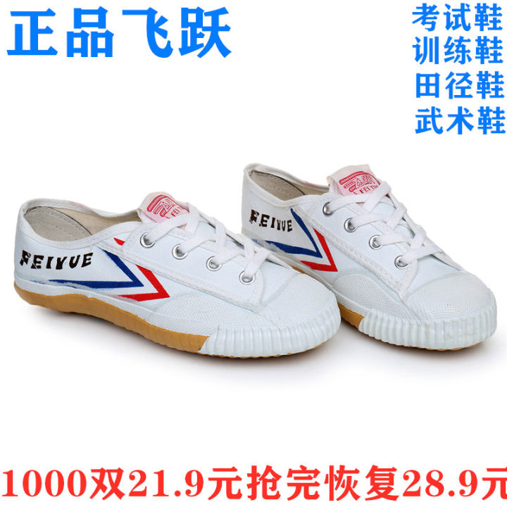 Feiyue Martial Arts Shoes