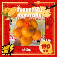 ?ส้มแมนดารินออสเตรเลีย 2PH? 1 กิโล ?? Phoenix Mandarin  ?ส้มสวยๆ ลูกใหญ่ พรีเมียม