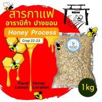 สารกาแฟ อาราบิก้า ปางขอน เชียงราย - Honey Process(Crop 2022-23) / 1 กิโลกรัม