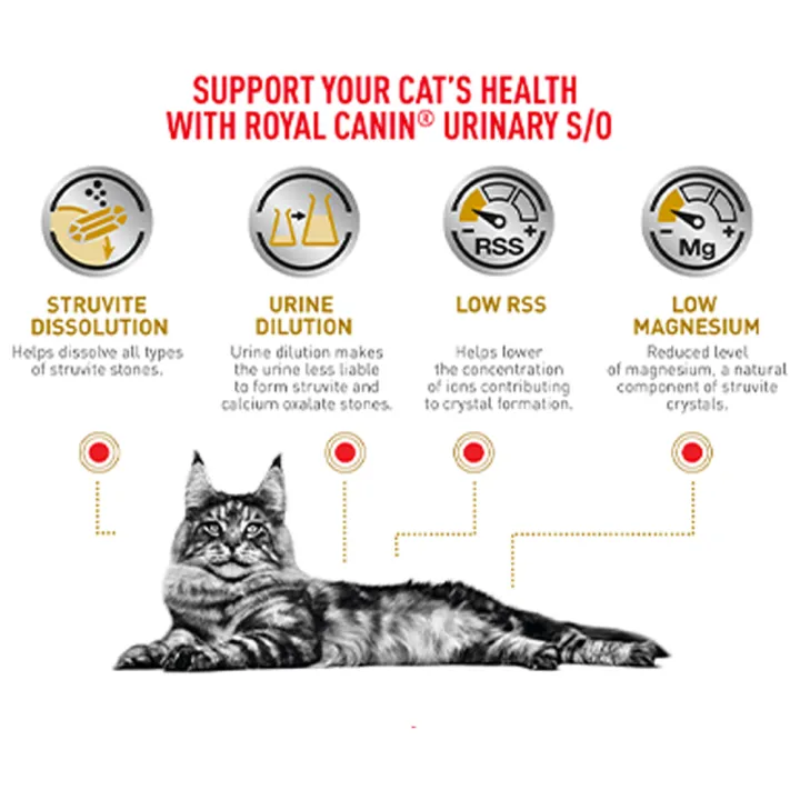exp2-25-1กล่อง-royal-canin-vet-urinary-cat-ซอง-แบบชิ้นเนื้อนิ่มในน้ำเกรวี่-สำหรับแมวโรคนิ่ว-12-ซอง