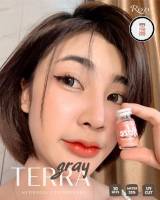 คอนแทคเลนส์ รุ่น Terra สีเทาตาโต ลายดังปังมาก ค่าอมน้ำสูง Hydrojel ใส่สบายตา