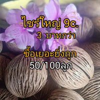 ลูกตีนเป็ด ไซร์ใหญ่ 9เซ็น ราคาถูก ขัดสวยสะอาดปลอดสาร