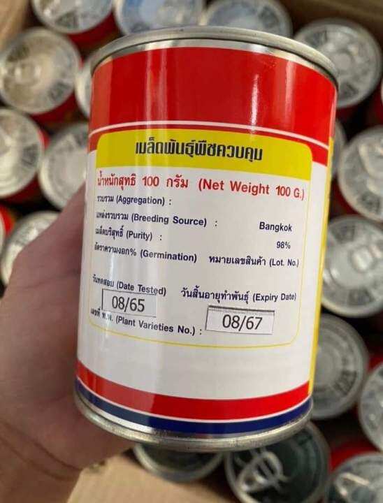 แตงกวานวลนาง-69-100กรัม-ดก-ลูกสวย