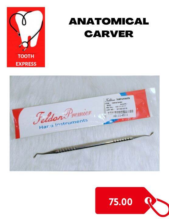 Dental Anatomical Carver Lazada PH