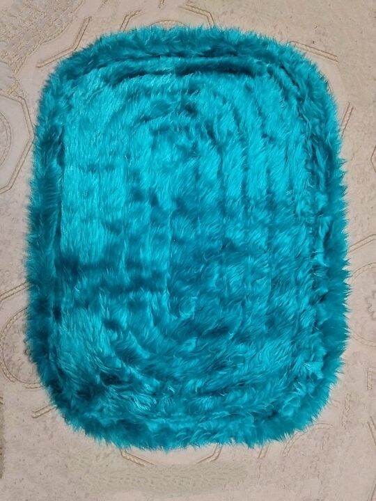 Fluffy Doormat ( in random colors) Lazada PH