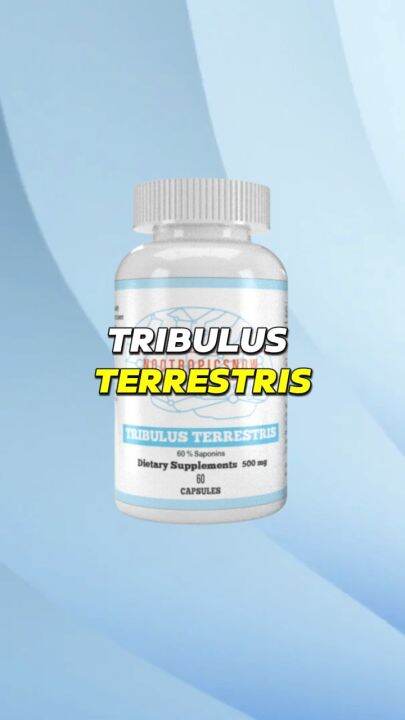 Tribulus Terrestris 500 Mg 60 Capsules 60 Servings Nootropic Brain Booster Testosterone 7491