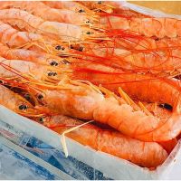 &amp;lt;&amp;lt;ส่งฟรี&amp;gt;&amp;gt; AKA EBI XXL (JP store by Supreme seafood)