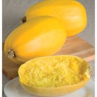 เมล็ดพันธุ์ ฟักทอง สปาเก็ตตี้ (Spaghetti Squash Seed) จำนวน 5 เมล็ด