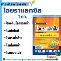 ไอยราแลกซิล (1กก.)  สารป้องกันและกำจัดโรคพืช โรครากเน่า โรคราน้ำค้าง โรคใบไหม้